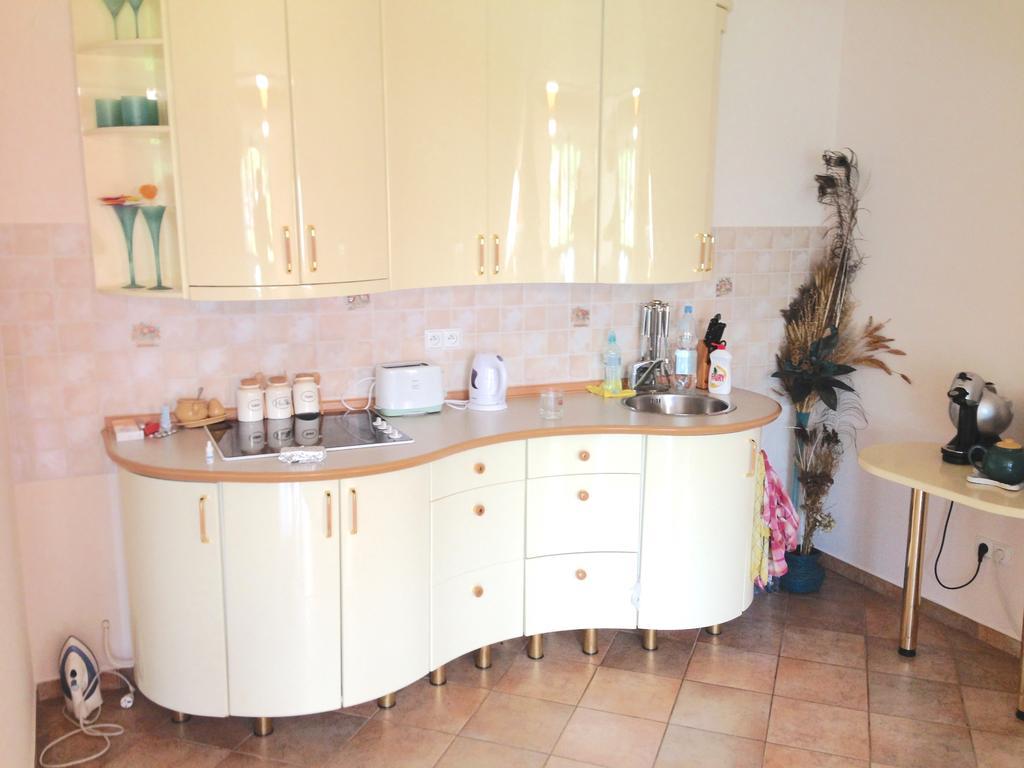 Apartament In Highlander Style With View On Giewont & Tatra Mountain 扎科帕内 外观 照片